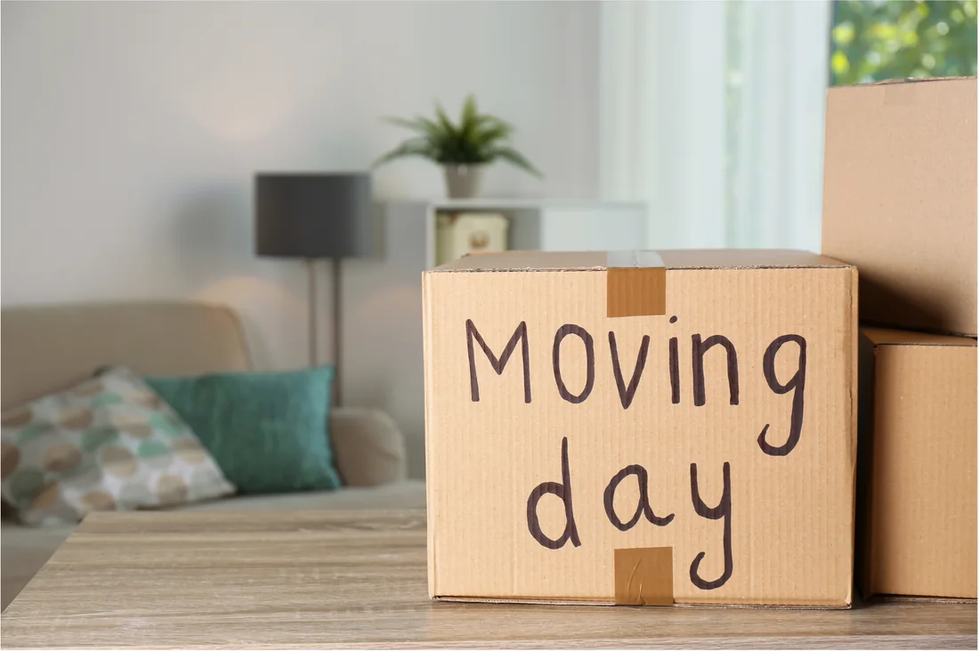 A moving box labelled &ldquo;Moving day&rdquo; on a living-room table